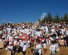 Eğirdir Orman İşletme Müdürlüğü