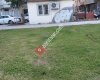 Eğitim Mahallesi Muhtarlığı