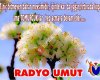 Elbistan Radyo Umut