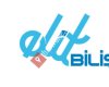 Elit Bilişim