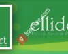 Ellidört Peyzaj Tasarım & Fidancılık