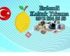 Erdemli Koltuk Yikama