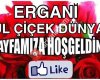 Ergani Gül Çiçek Dünyası ve organizasyon
