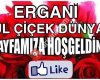 Ergani Gül Çiçek Dünyası ve organizasyon