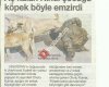 EROL EMMİ OKUL Servisleri