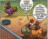 Erzincan Kaz ve Kümes Hayvanları