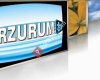 Erzurum Web Tv