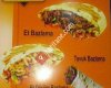ESEN DÖNER