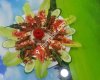 Esenay Pide Ve Kebap Salonu -Söke-
