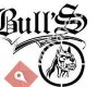 Eskişehir Pitbull Buluşması
