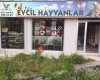 Evcil hayvanlar