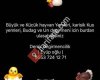Eyüpoglu Un degirmeni