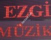 EZGİ MÜZİK EVİ