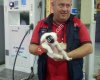 Ezine Termo Petrol