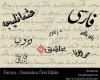 Farsça ve Osmanlı Türkçesi Özel Eğtim