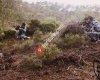 Fethiye Airsoft