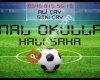 FİNAL Okullari HALI SAHA