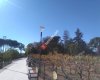 Fistik Parkı