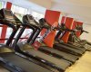 FIT LIFE Sports