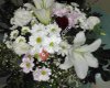 Florya Çiçekçilik