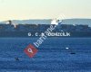 G.C.S DENİZCİLİK GEMİ ACENTELİĞİ GIDA SAN. TİC. LTD. ŞTİ.