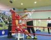 GADA Boxing
