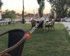 Gar Cafe&Restaurant