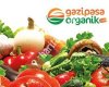Gazipasaorganik.com