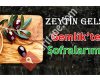 Gemlik Zeytini