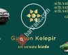 Giresun Kelepir