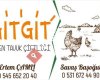 Gıtgıt Gezen Tavuk Çiftliği
