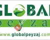 Global Peyzaj
