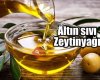 Goilden