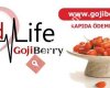 Goji Berry Red Life