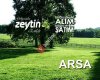 Gökçeada Zeytin Emlak
