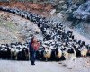 Göksun Kahramanmaraş