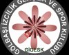 Gölbaşı İzcilik Gençlik Ve Spor Kulübü