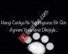 Gölvist Gölcük Hayvan Hakları ve Aktivistleri Derneği