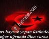 Gözde taşimaçilik