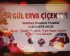 Gül Erva Çiçek Evi & Petshop