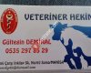 Gül - Vet Veteriner Kliniği