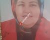 Gülcan Emlak.2
