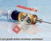 Gülen Motor