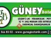 GÜNEY Botanik Çiçekçilik,Fidancılık,İç ve dış mekan süs bitkileri,Peyzaj
