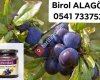 Güvem Eriği Marmelatı