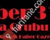 Haber31 Gazetesi