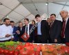 Hal Komisyoncuları Derneği