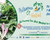Halikarnas Ot Festivali