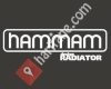Hammam Design Radiator