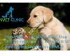Hanvet Clinic